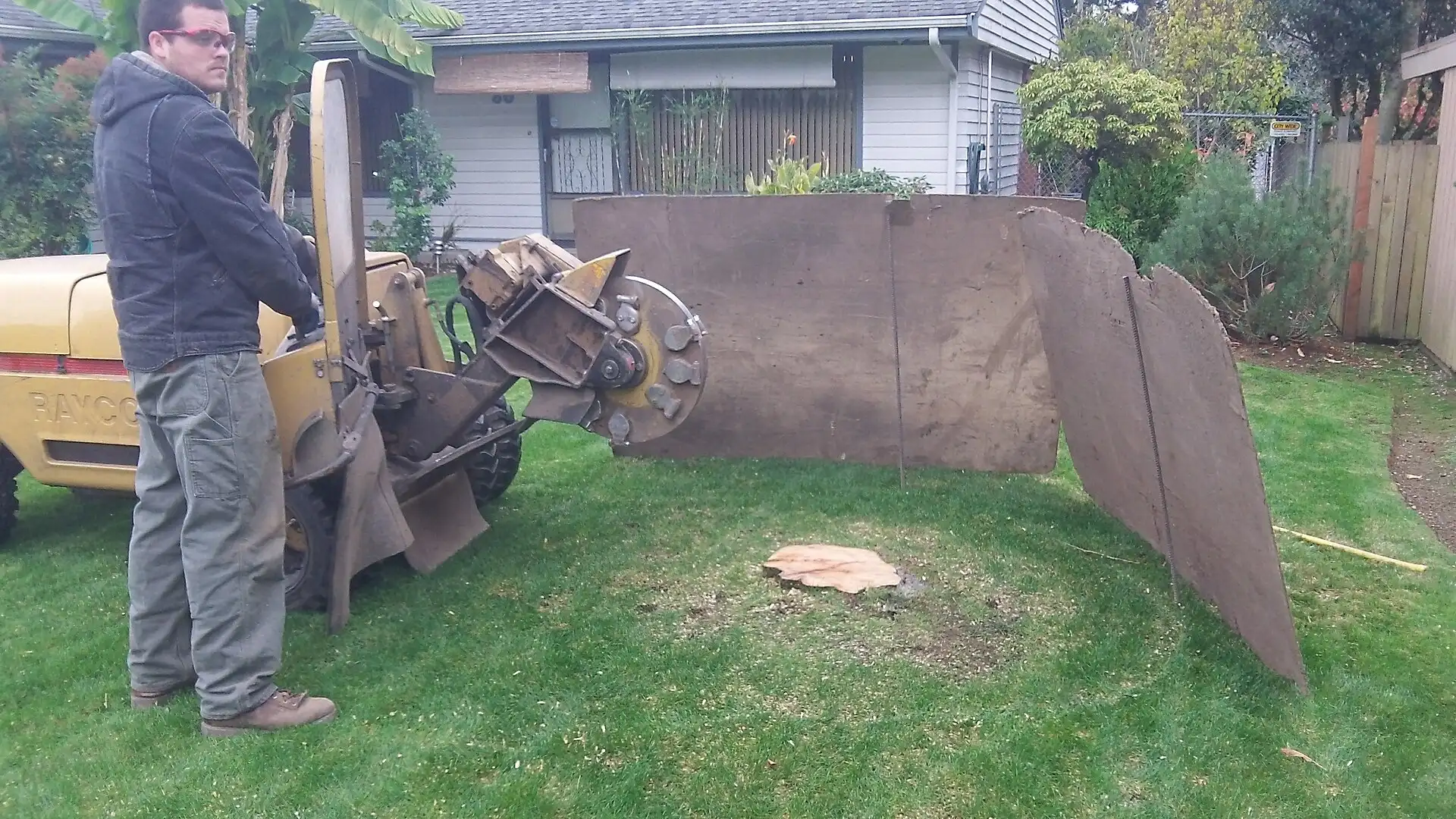 Stump grinder at work in a backyard
